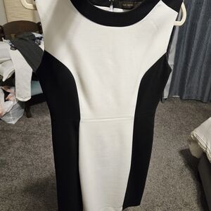 The Limited Black and White Mini Dress